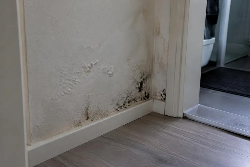 Lekdetectie Oosterhout – vochtplek met schimmel op een muur